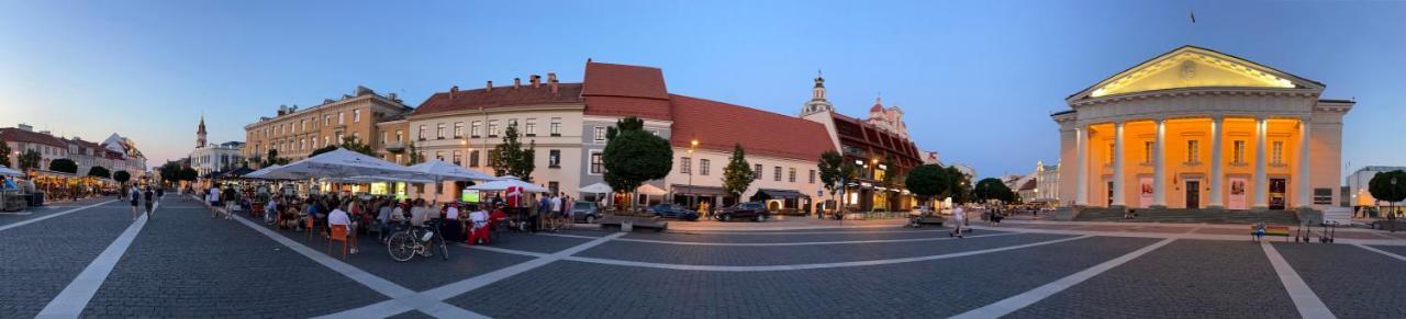 St Casimir Apartments VNO Buitenkant foto